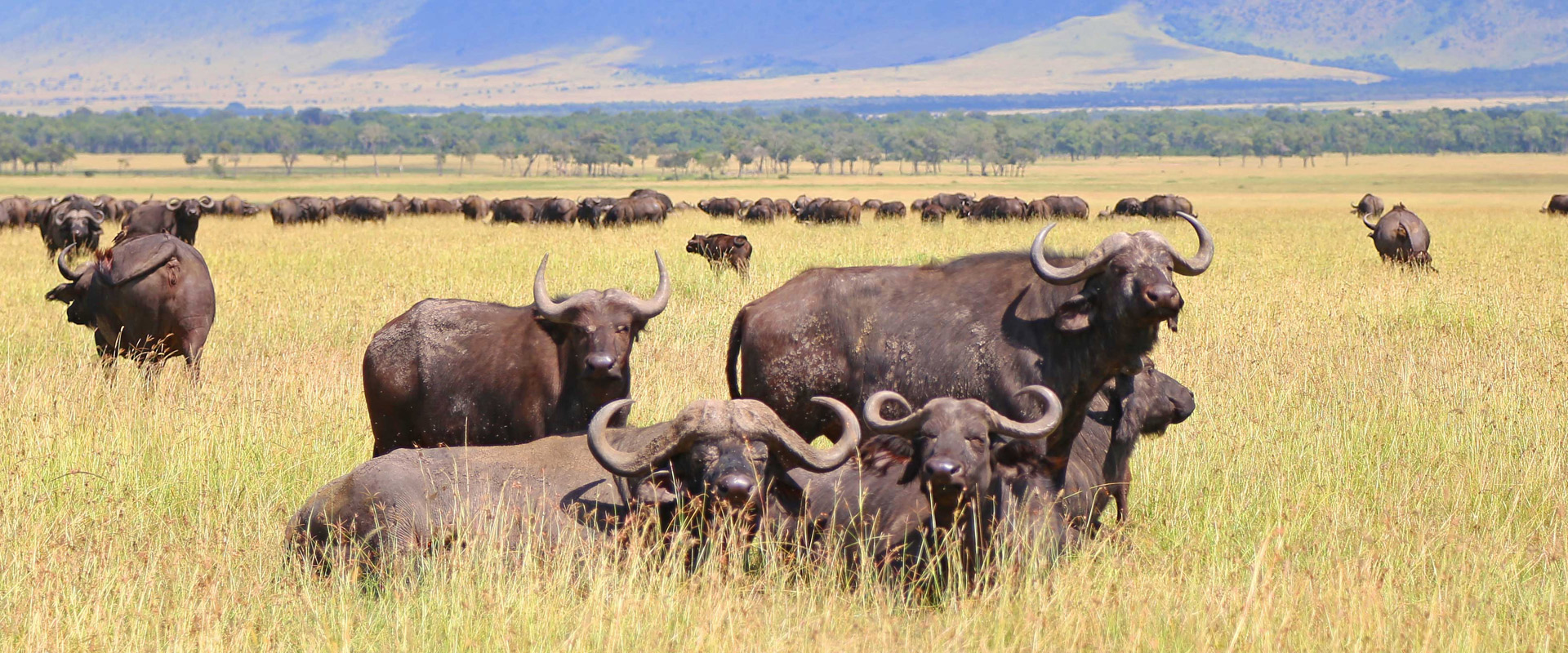 2 days lake manyara and ngorongoro crater safari

