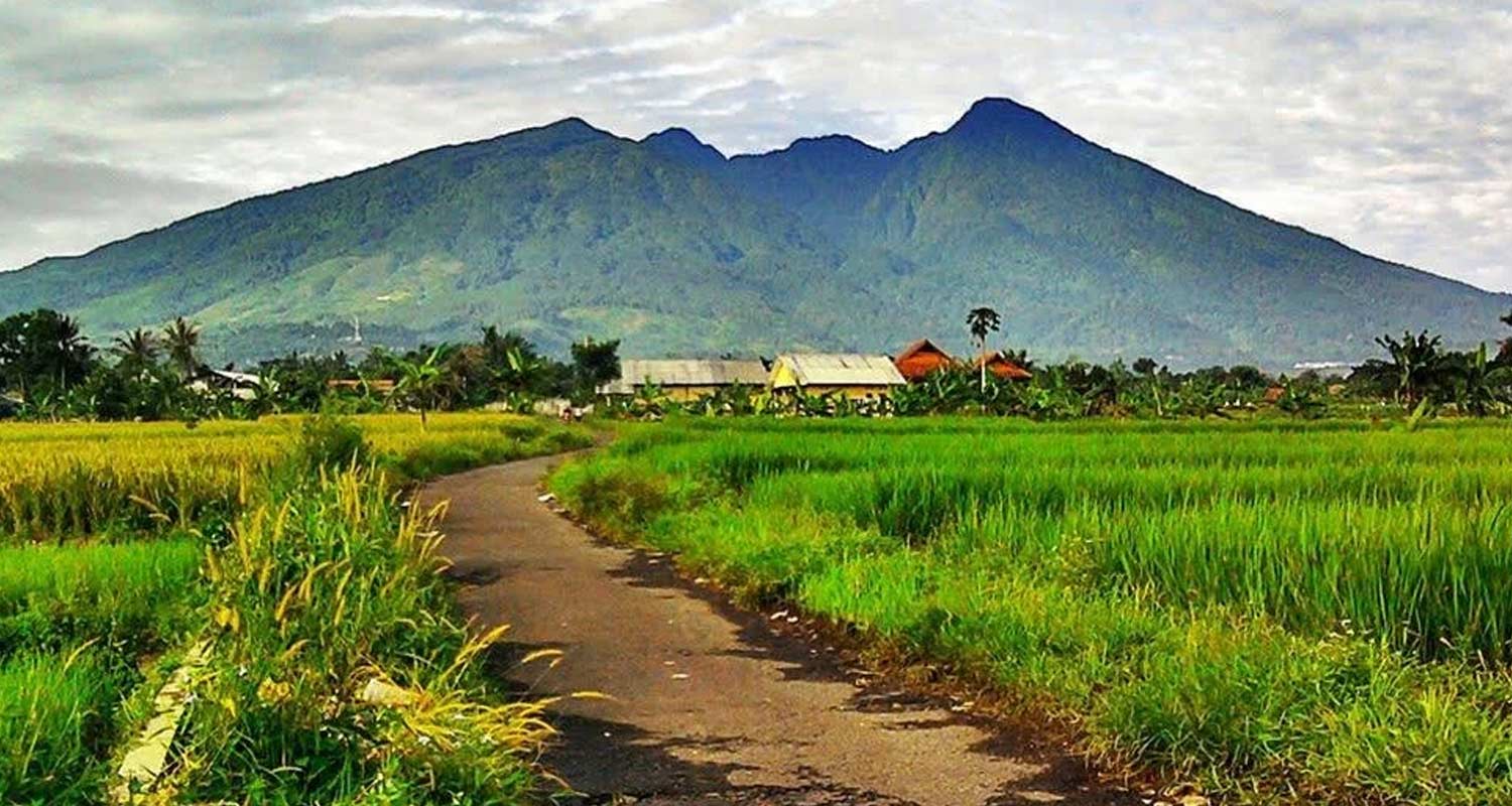 3 Day Mount Uluguru Gallery 3 Day Mount Uluguru Gallery