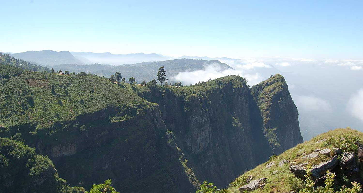 4 Days Mount Usambara Gallery 4 Days Mount Usambara Gallery