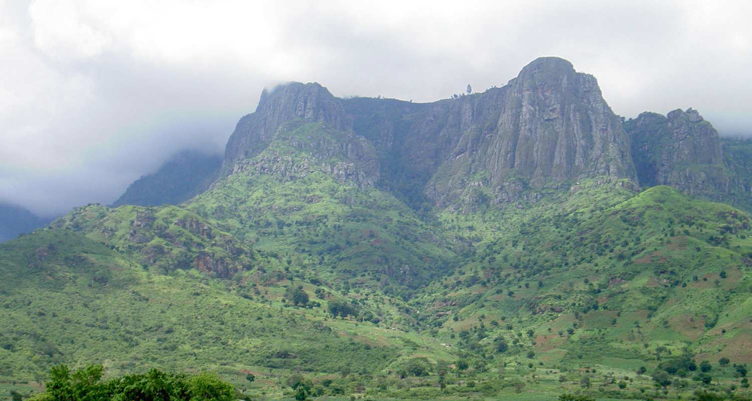 4 Days Mount Usambara Gallery 4 Days Mount Usambara Gallery