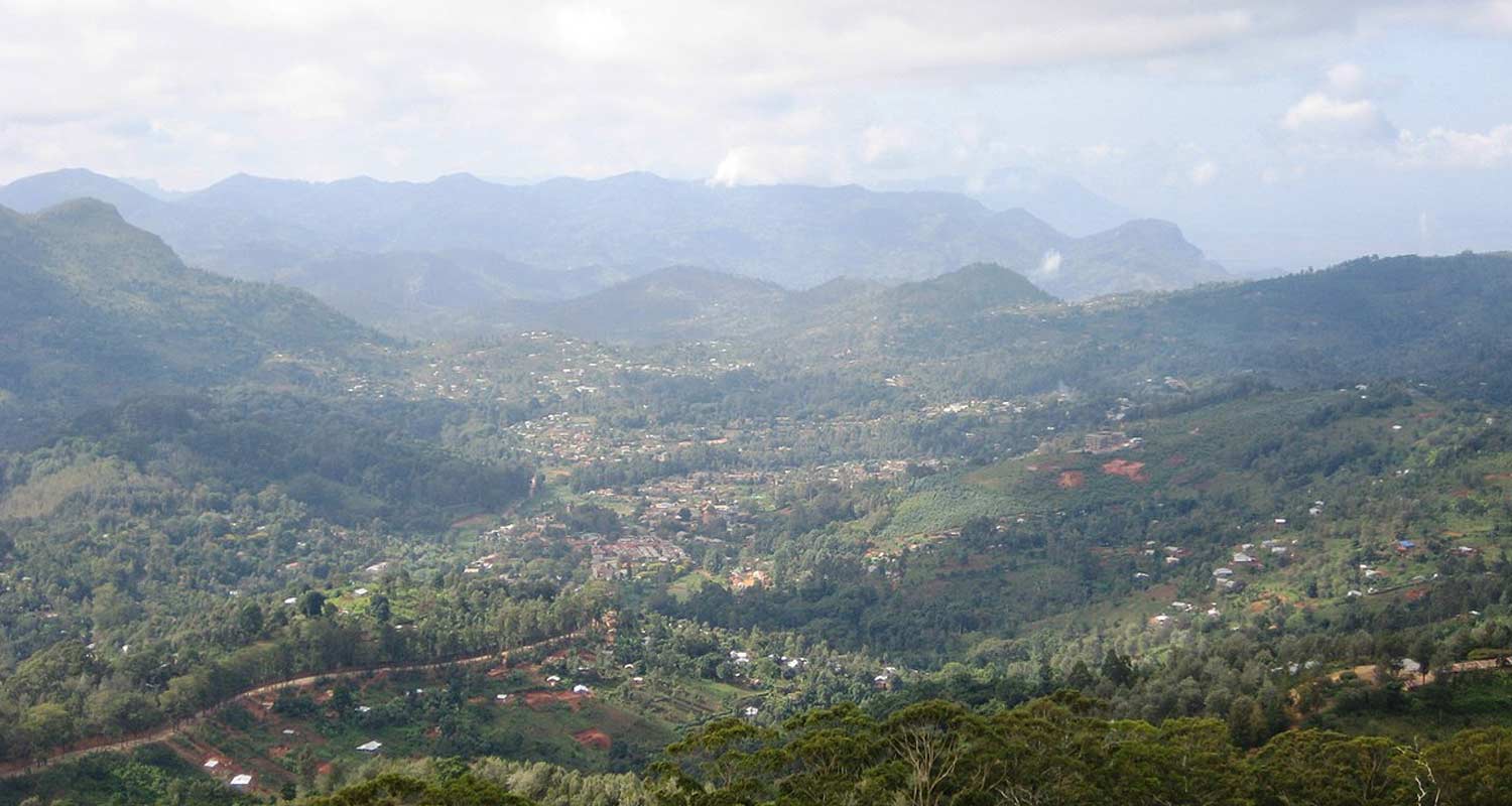 4 Days Mount Usambara Gallery 4 Days Mount Usambara Gallery