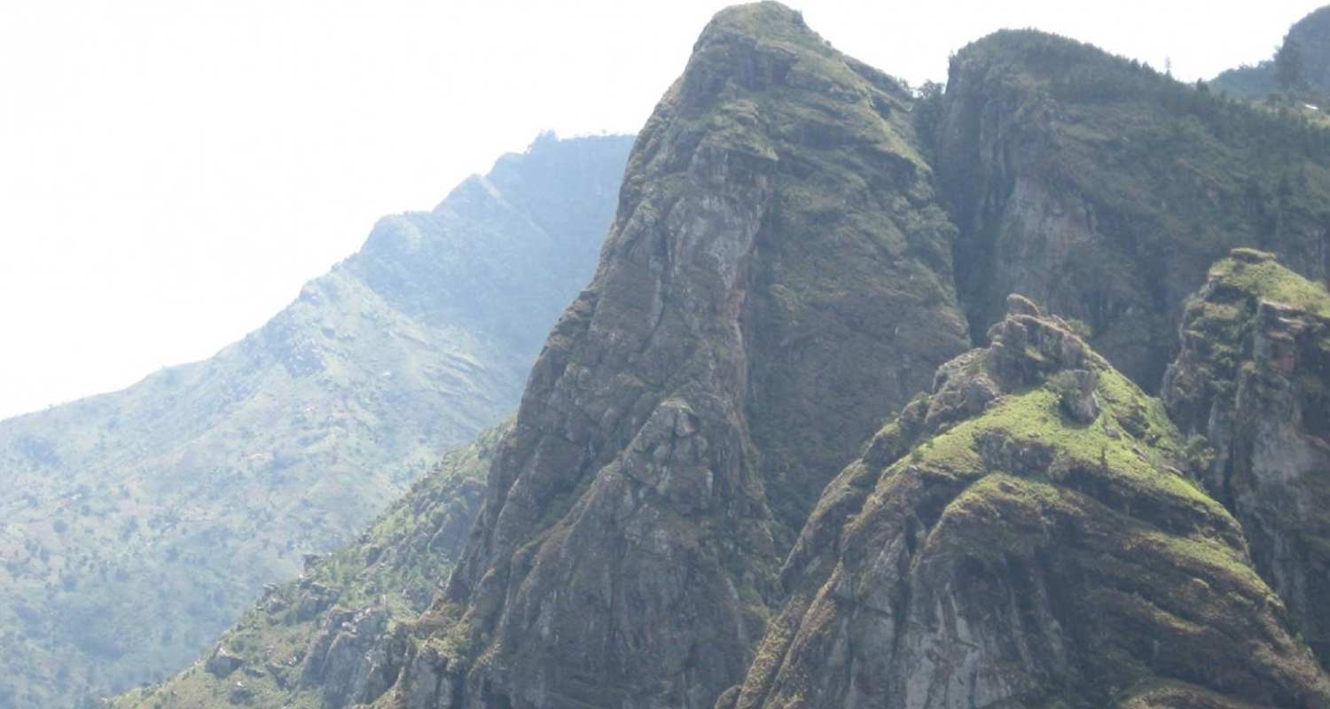 4 Days Mount Usambara Gallery 4 Days Mount Usambara Gallery