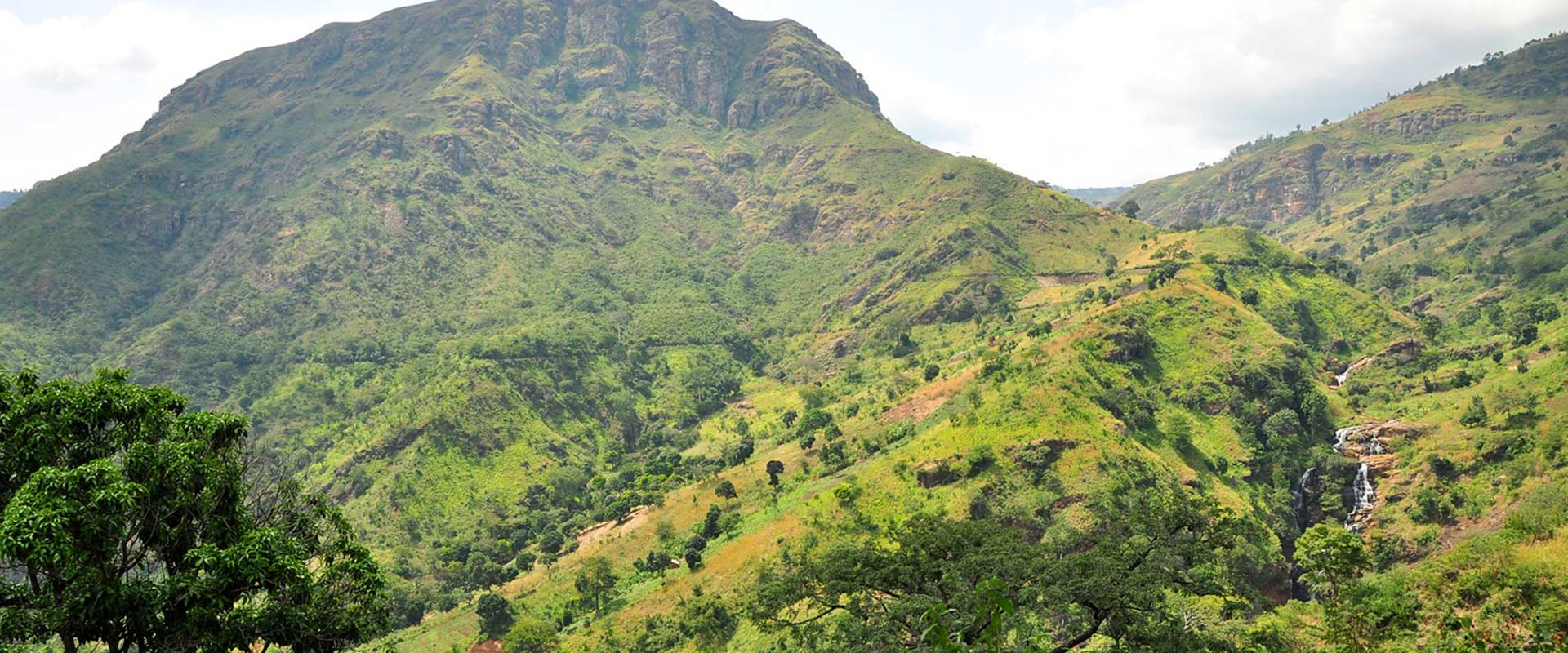 4 Days Mount Usambara 4 Days Mount Usambara