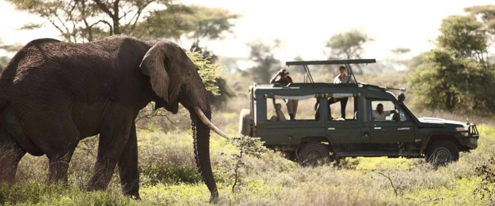 5 days tanzania northern safari