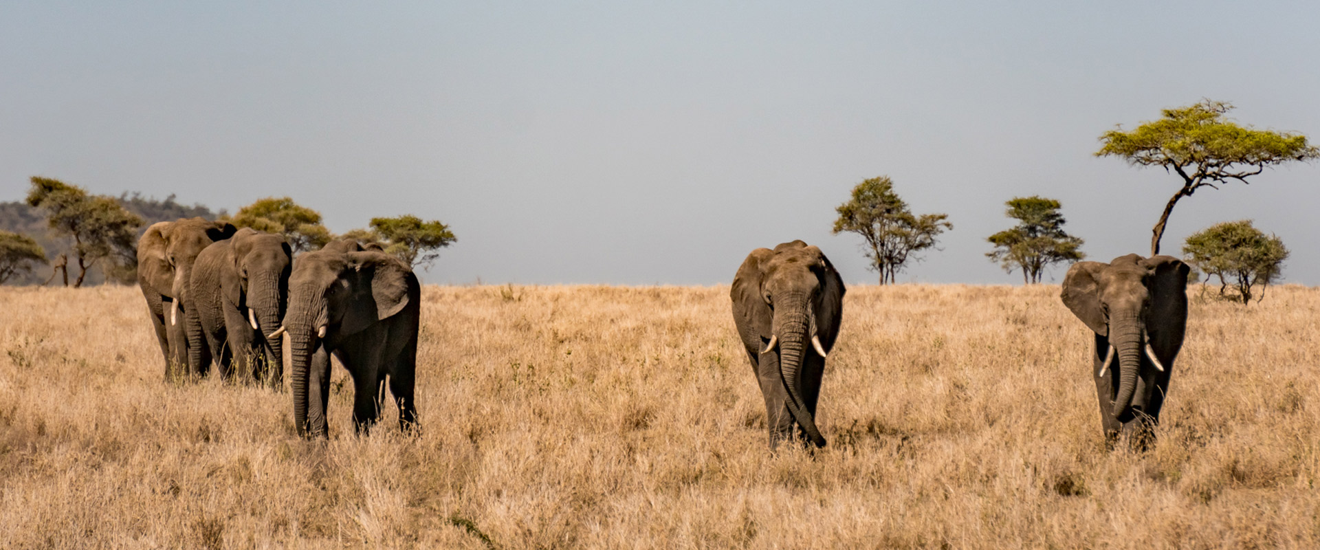 6 days tanzania southern safari