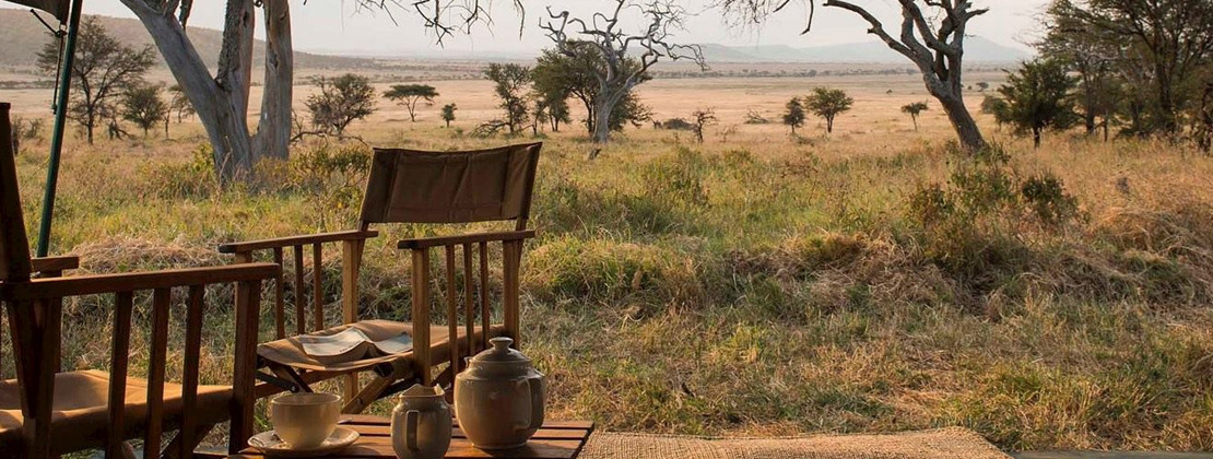 Africa Safari Camp