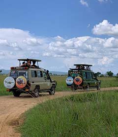 Safari Fleet