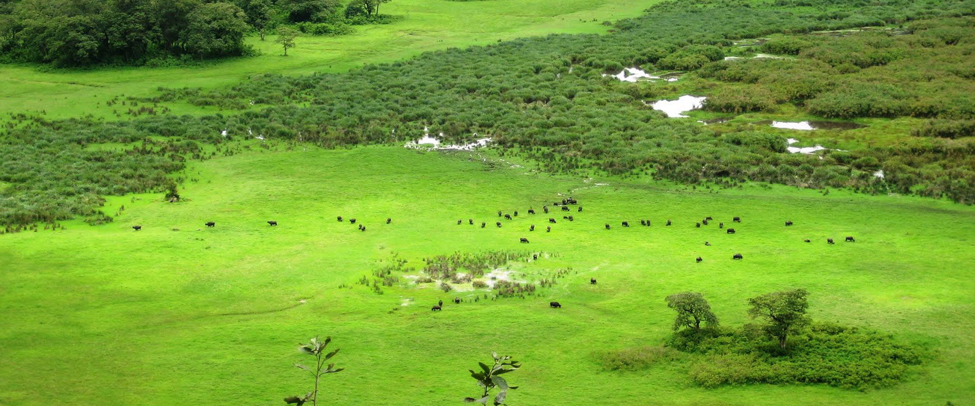 Arusha National Park