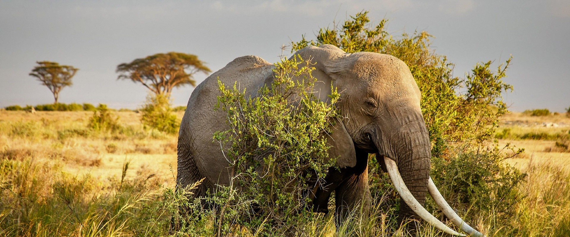 Best Time for Tanzania