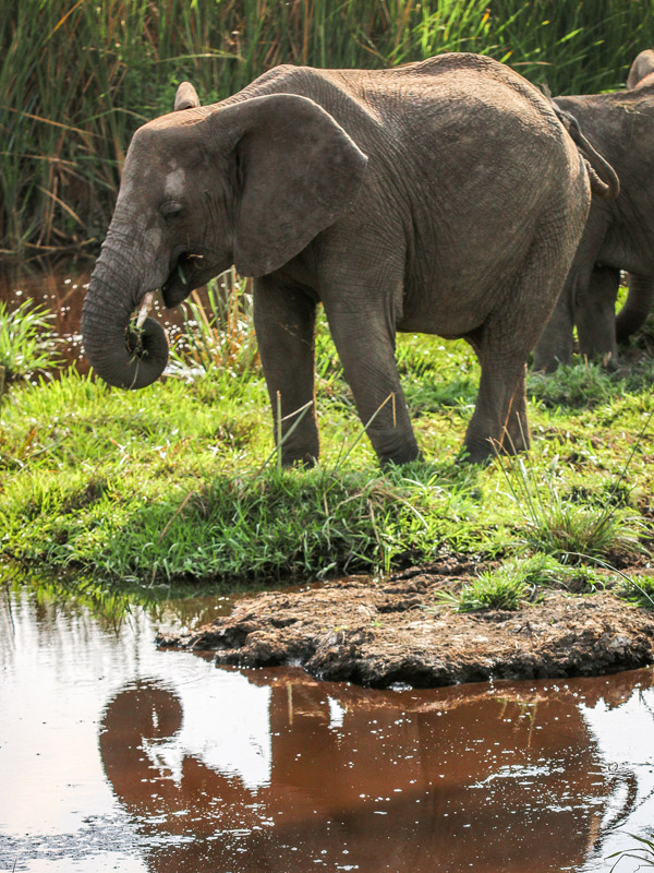 Arusha National Park