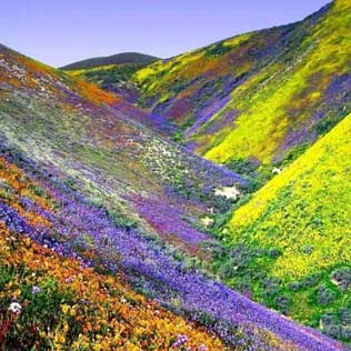 Kitulo National Park