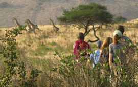 Tanzania Tipping Guide
