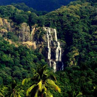 Udzungwa National Park