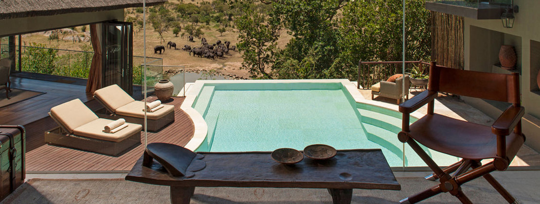 Elephant Motel