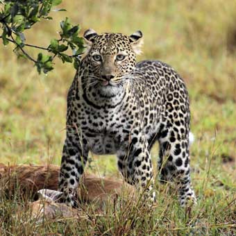 Tanzania Destinations