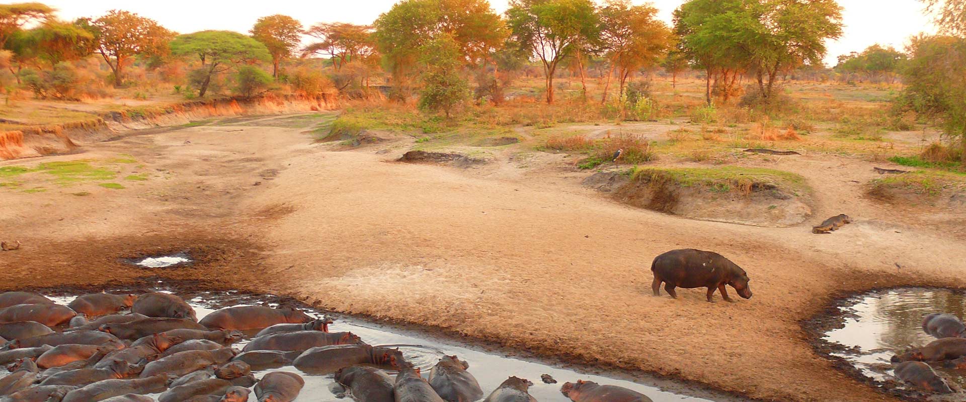 Katavi National Park