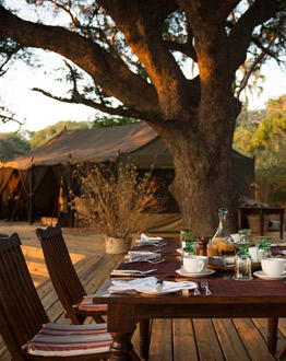 Katavi Wildlife Camp