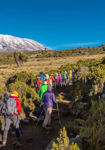 6 Day Umbwe Route 6 Day Umbwe Route