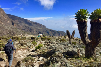 Machame Route