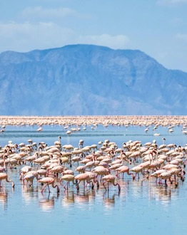 lake natron camp