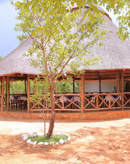 Mikumi Safari Lodge