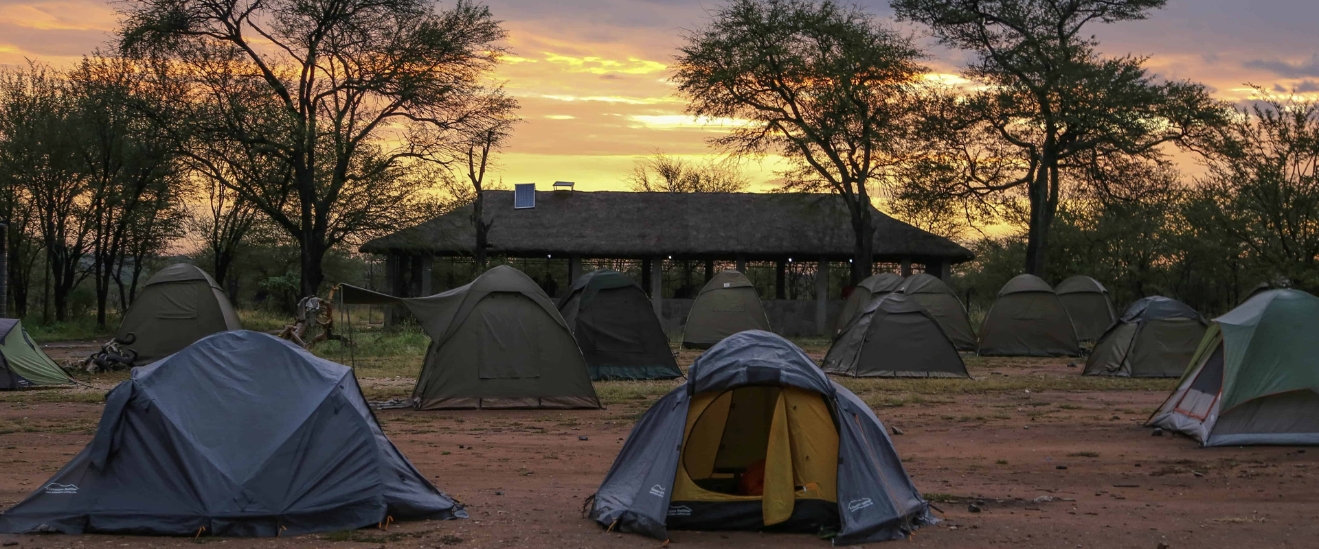 mikumi wildlife camp