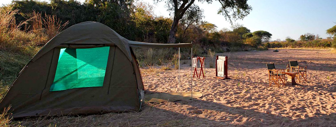 mikumi wildlife camp