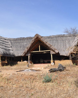 Mwagusi Safari Camp