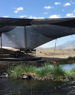 natron moivario camp