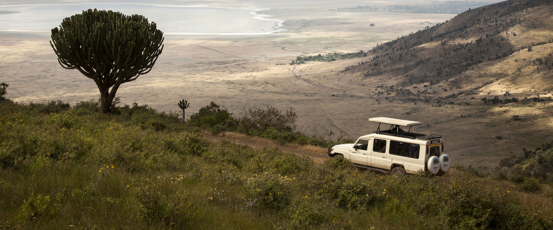 Ngorongoro Crater Day Tour