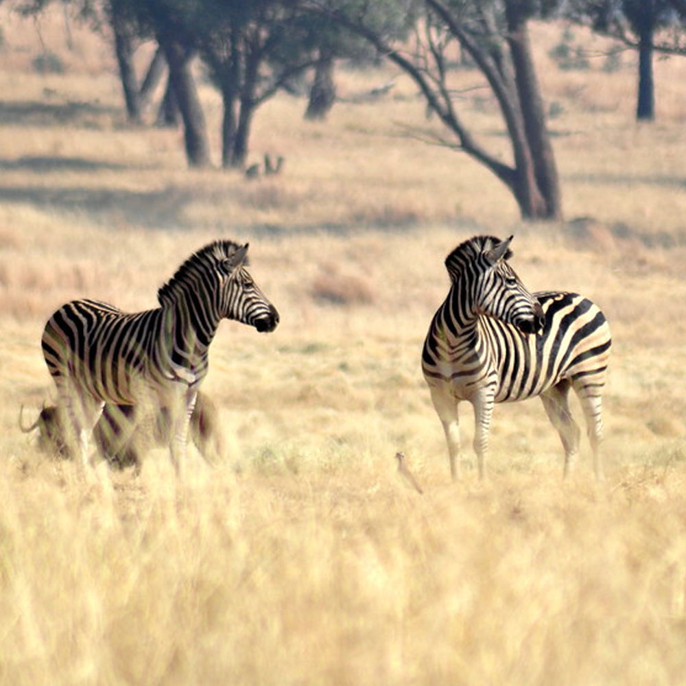 Arusha National Park