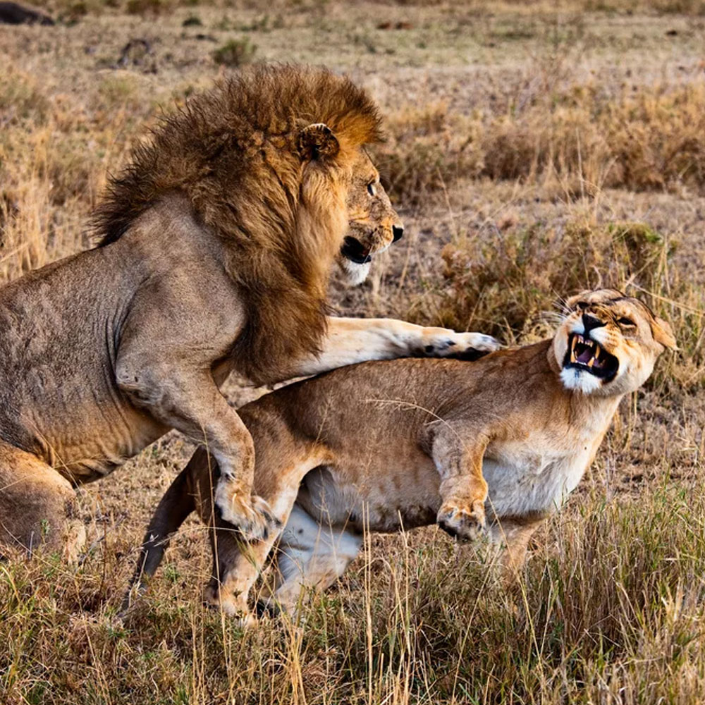 Serengeti National Park
