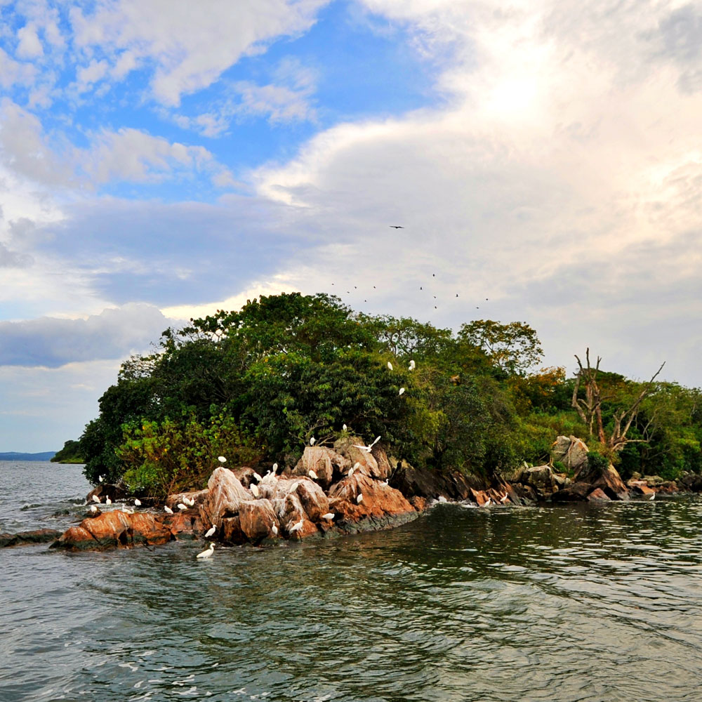 Rubondo National Park