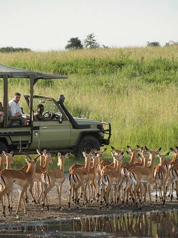 Nyerere National Park