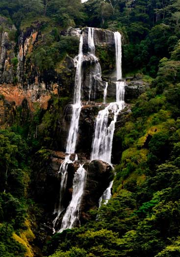 Udzungwa National Park