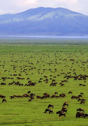 Serengeti National Park