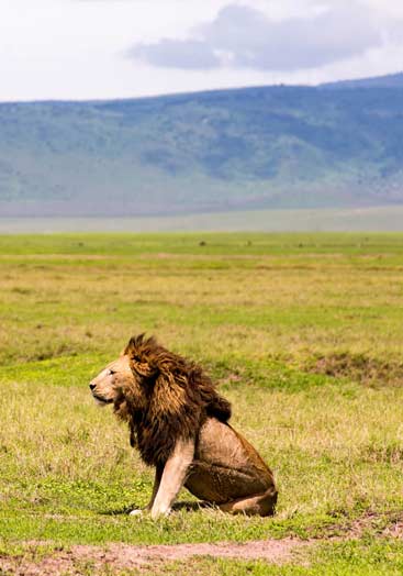 Ngorongoro Crater