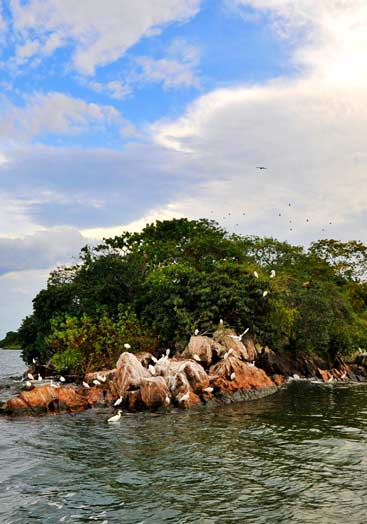 Rubondo National Park