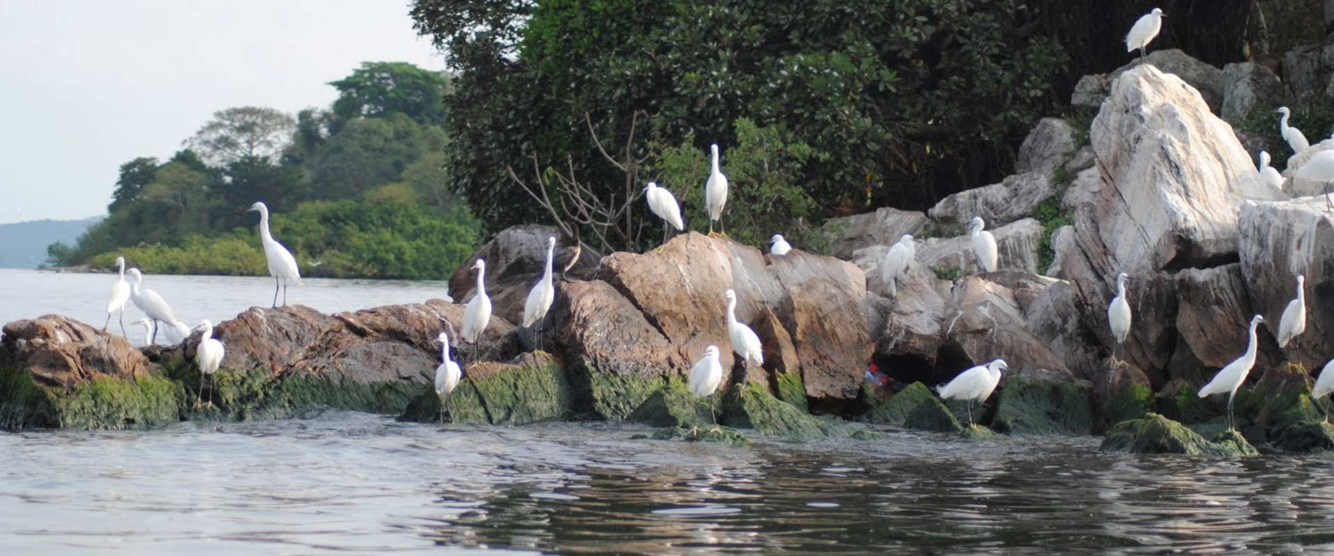 Rubondo National Park