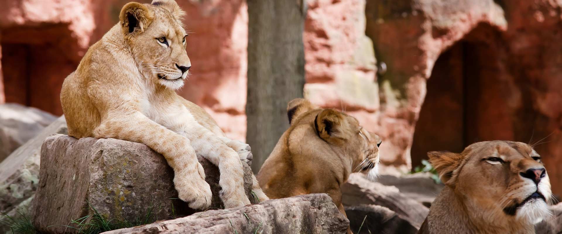 Saadani National Park