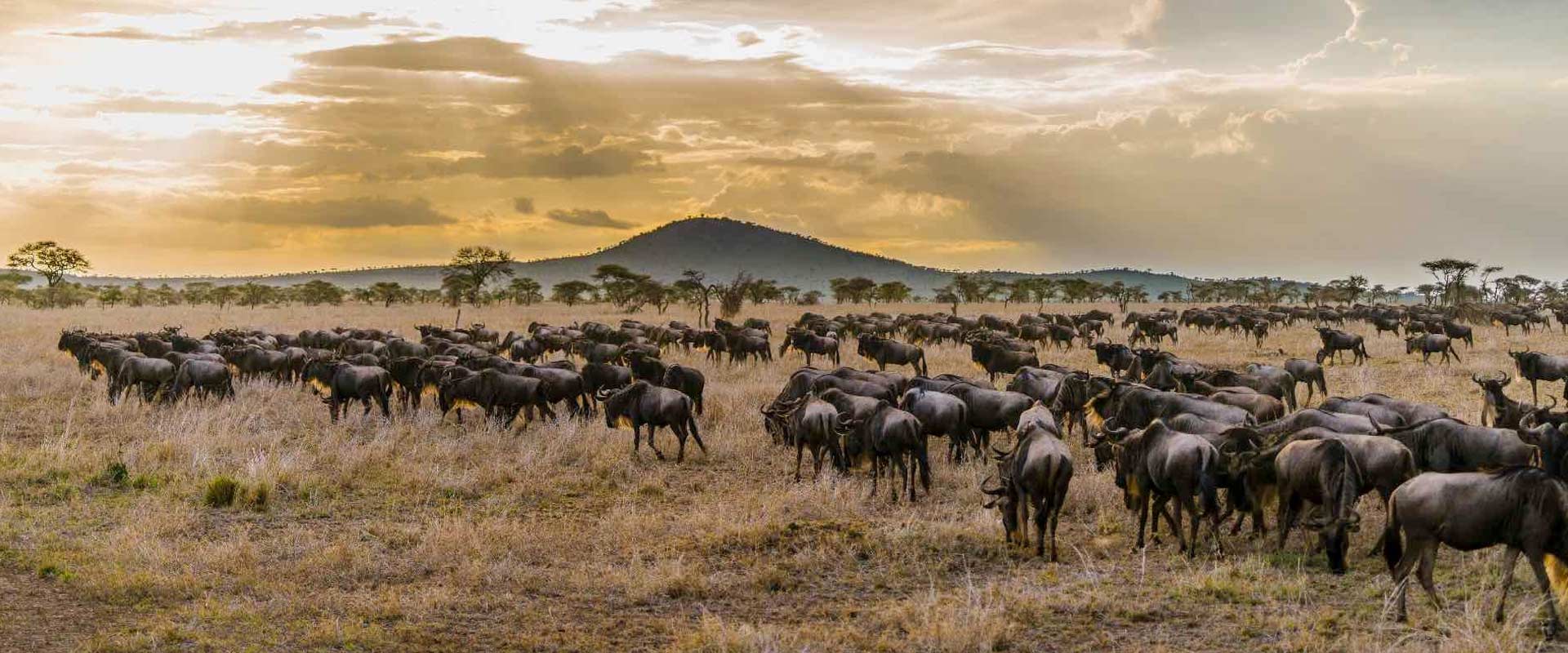 Serengeti National Park 