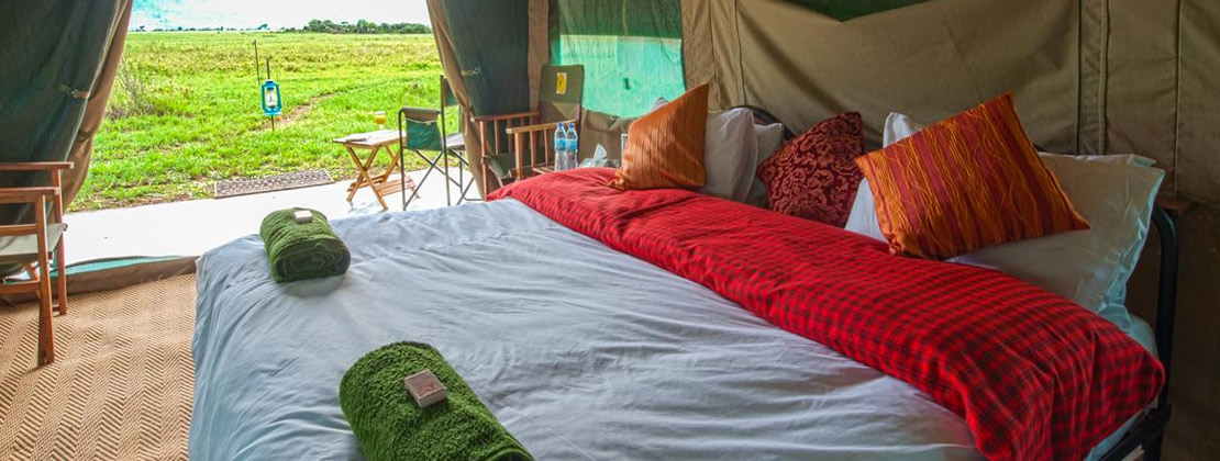 Simply Saadan Camp