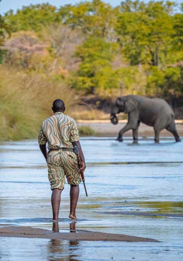 6 days tanzania southern safari