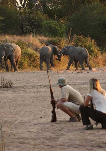 4 days tanzania safari to ruaha
