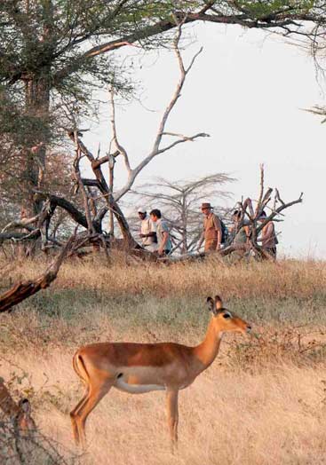 5 Days Tanzania Safari to Nyerere National Park and Kilwa