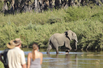 4 days tanzania safari to ruaha