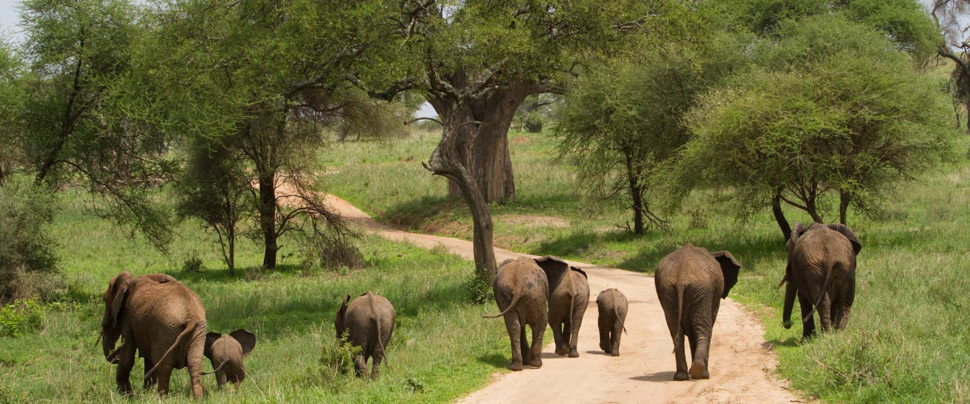 Tarangire National Park