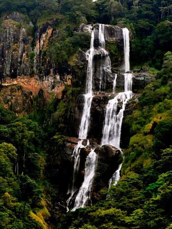 Udzungwa National Park