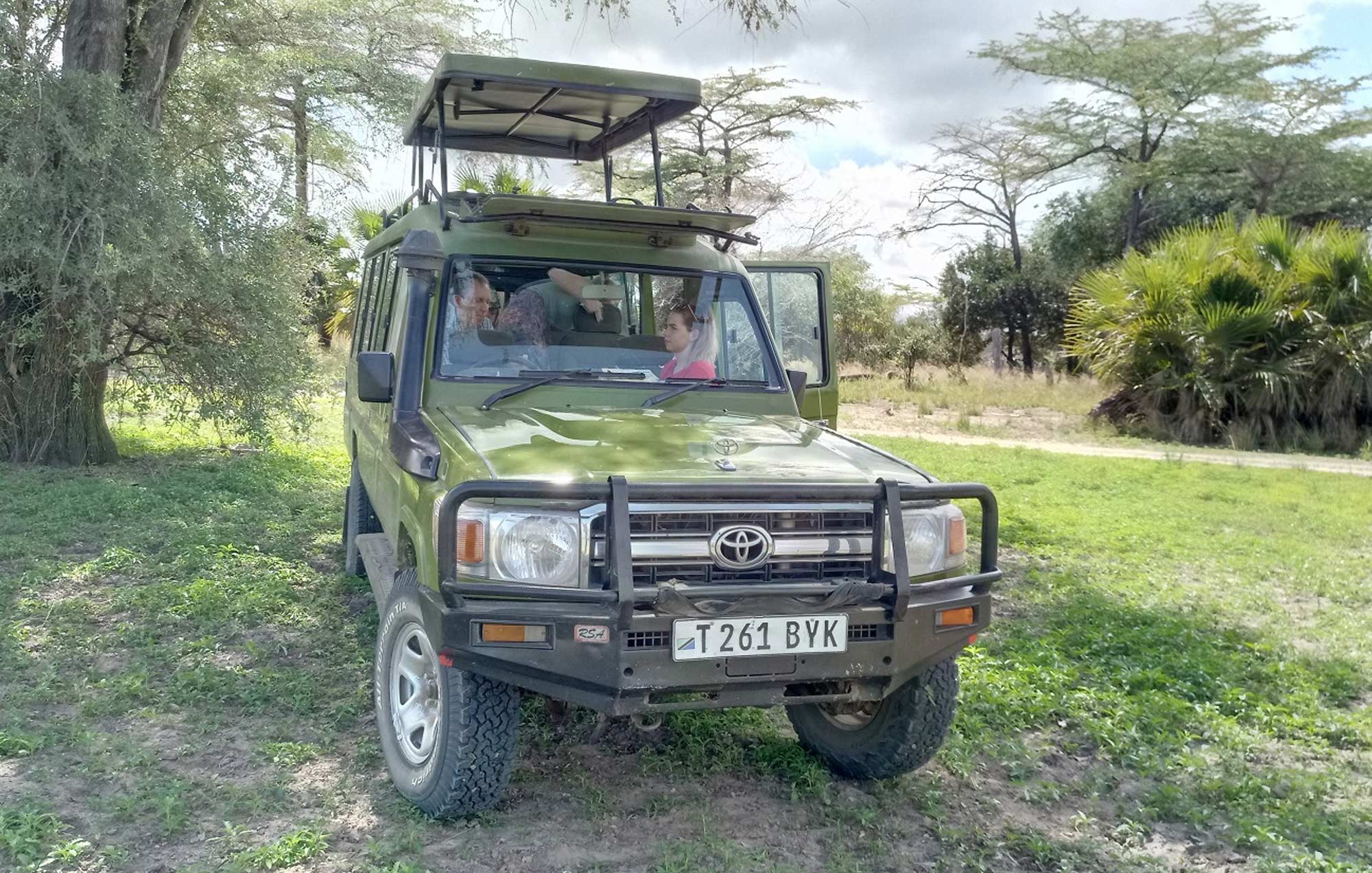 About African Pangolin Safaris